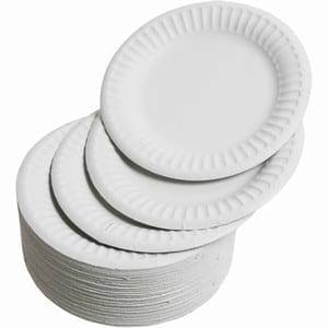 Paper Plates / Napkins / Cutlery